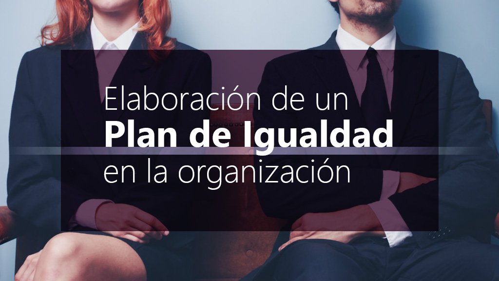 Curso de Elaboraci&oacute;n plan de igualdad en la organizaci&oacute;n